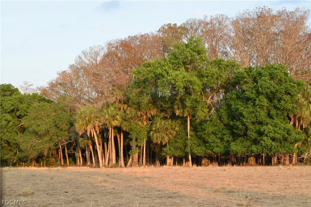 3790 Goggin Road Alva FL 33920