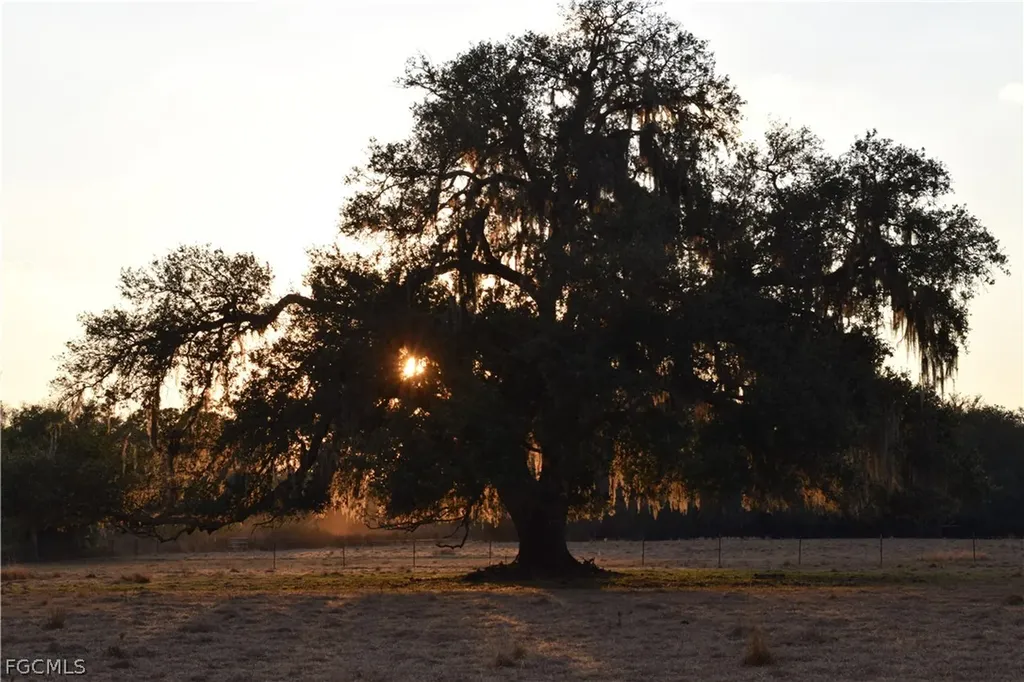 3790 Goggin Road Alva FL 33920