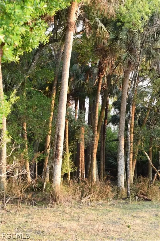 3790 Goggin Road Alva FL 33920