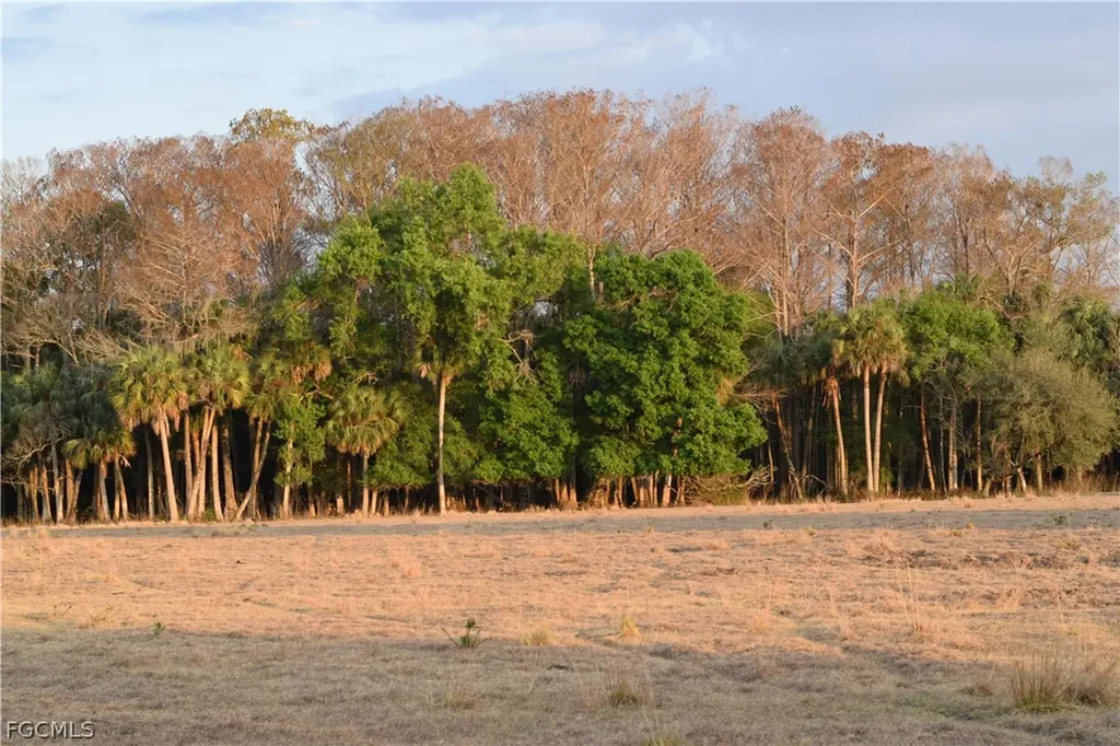 3790 Goggin Road Alva FL 33920