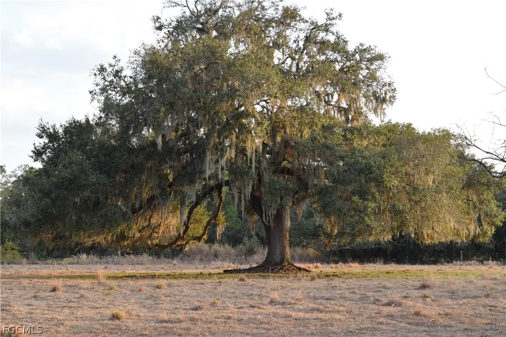 3790 Goggin Road Alva FL 33920