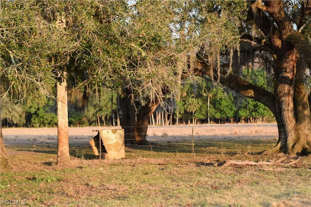 3790 Goggin Road Alva FL 33920