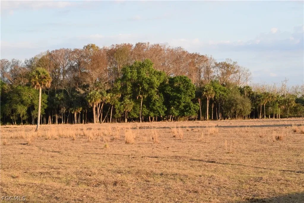 3790 Goggin Road Alva FL 33920