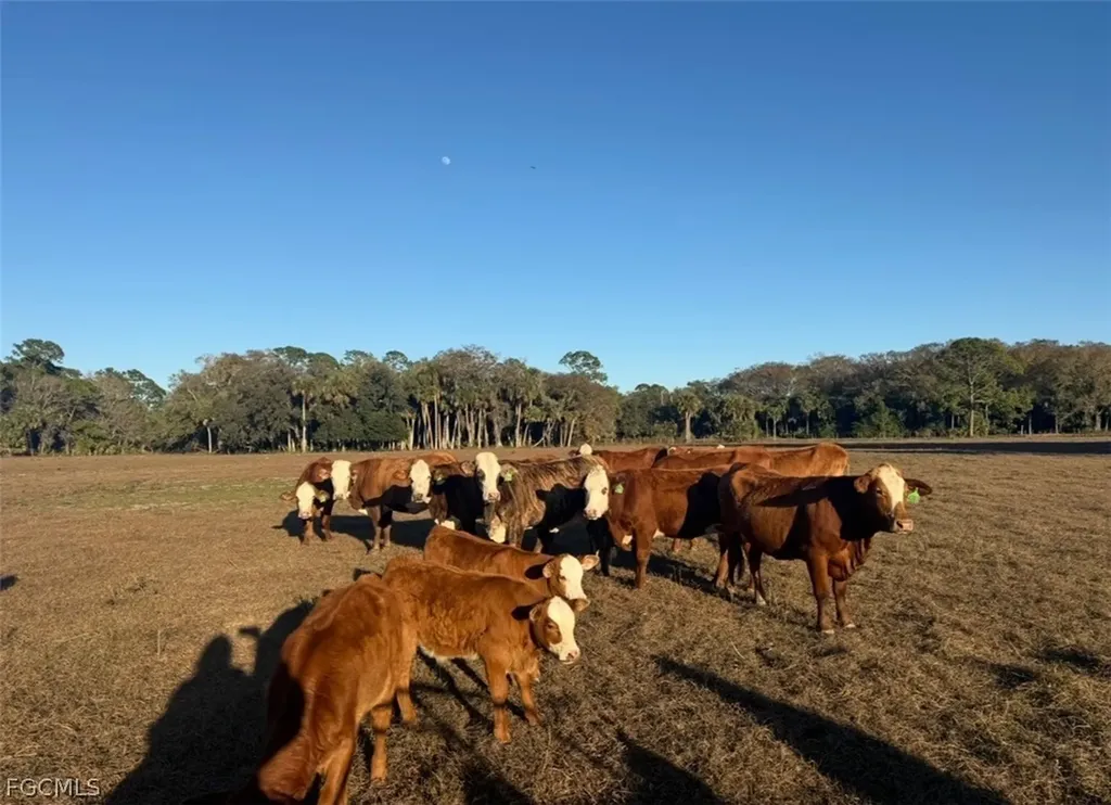 3790 Goggin Road Alva FL 33920