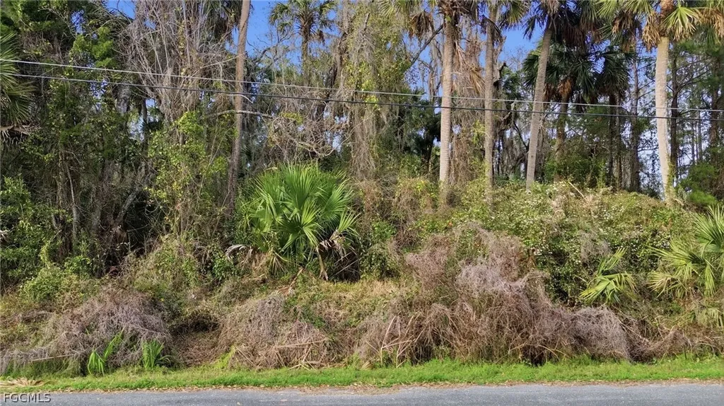 Fox Road Astor FL 32102
