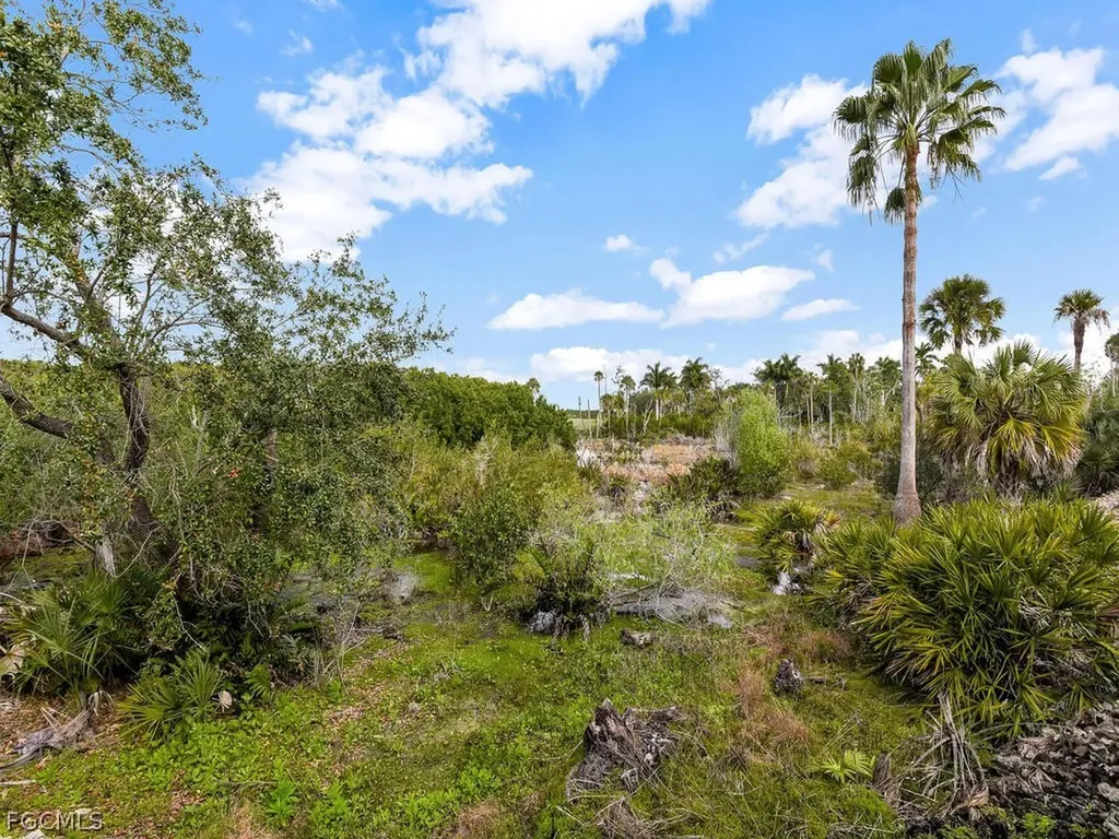 26372 Mahogany Pointe Court Bonita Springs FL 34134