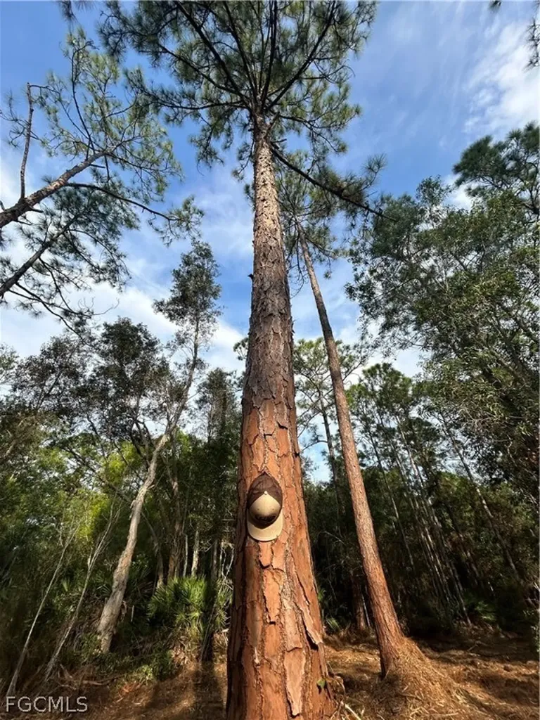 Naples FL 34120