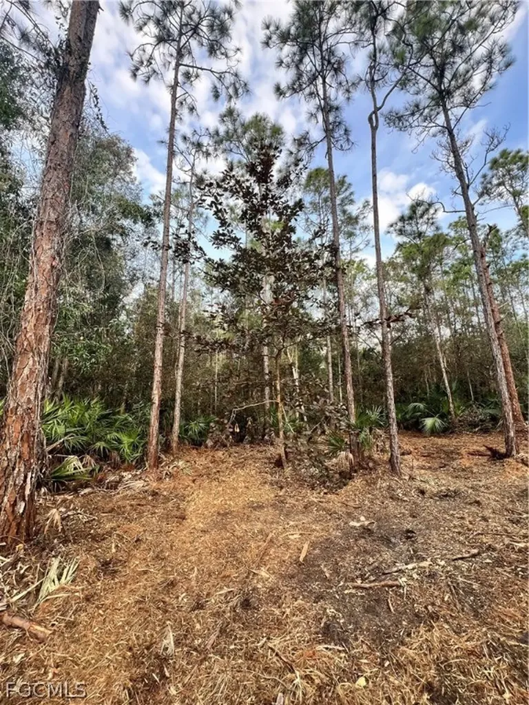 Naples FL 34120