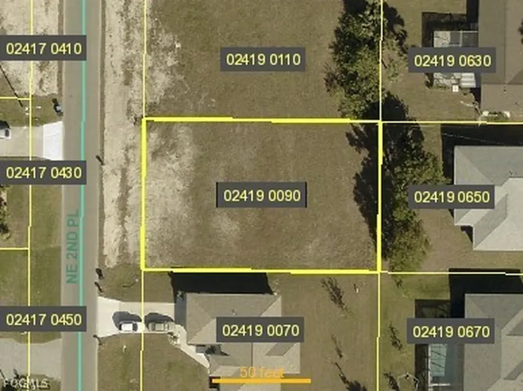 1005 NE 2nd Place Cape Coral FL 33909