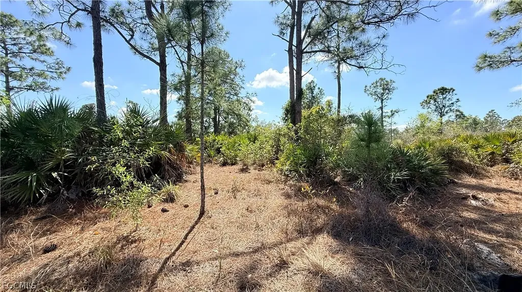 1076 Bells Street E Lehigh Acres FL 33974