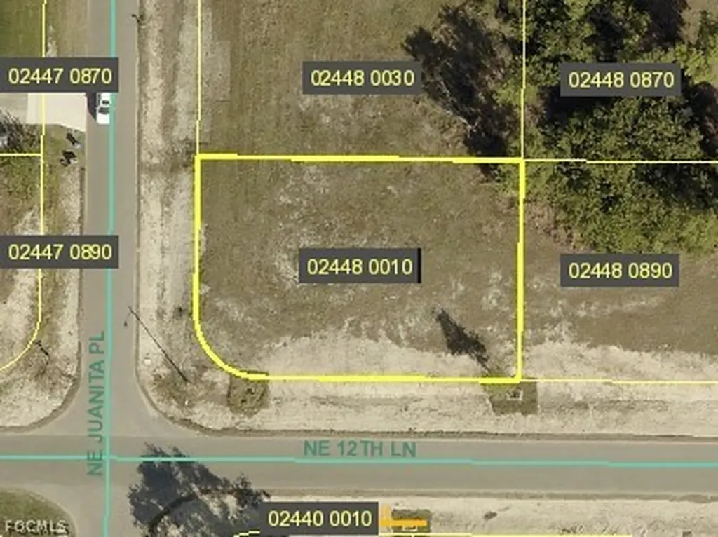 1217 NE Juanita Place Cape Coral FL 33909