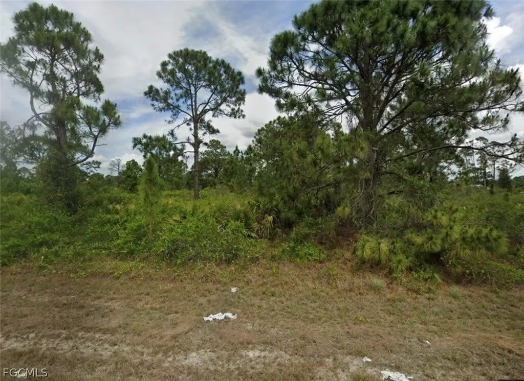 1139 Venetia Street Lehigh Acres FL 33974