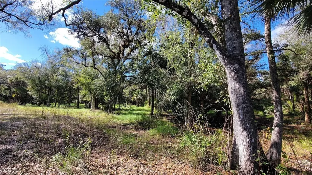 1 Wright Street Labelle FL 33935