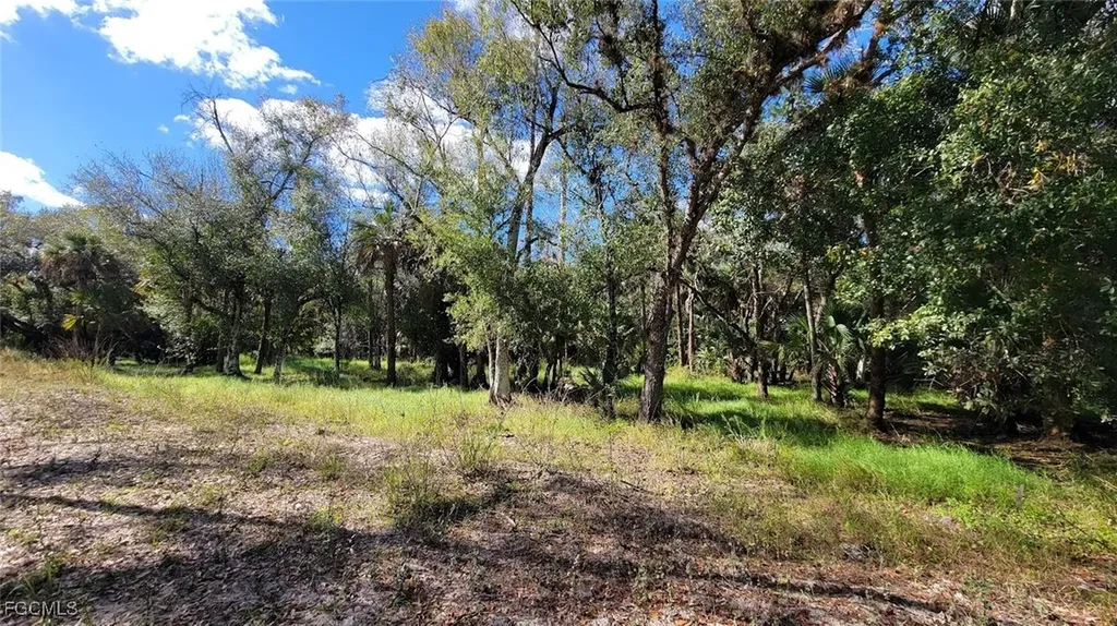 1 Wright Street Labelle FL 33935