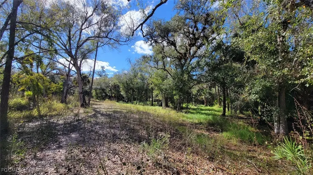 1 Wright Street Labelle FL 33935