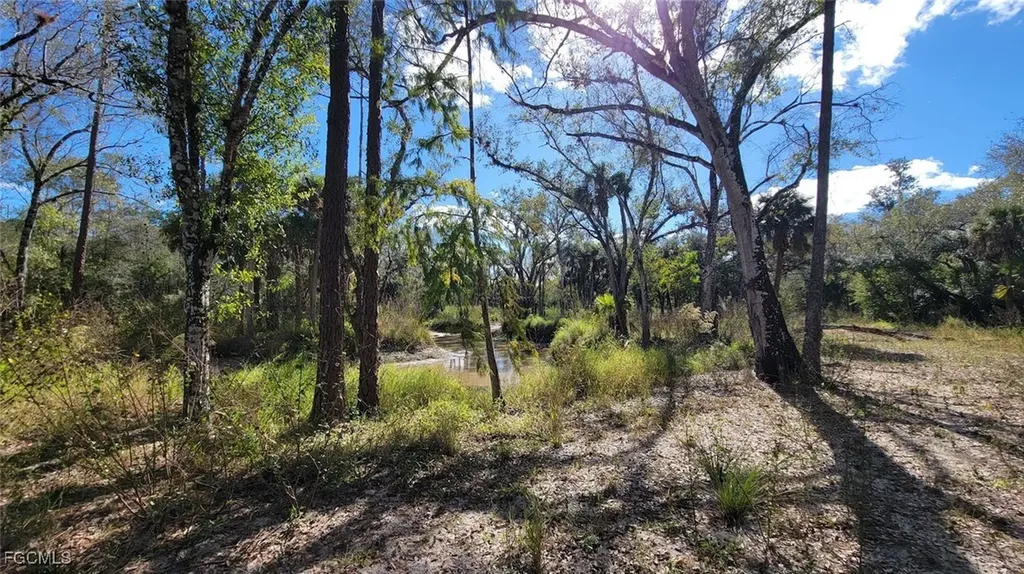 1 Wright Street Labelle FL 33935