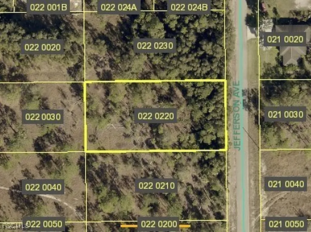 1319 Jefferson Avenue Lehigh Acres FL 33972