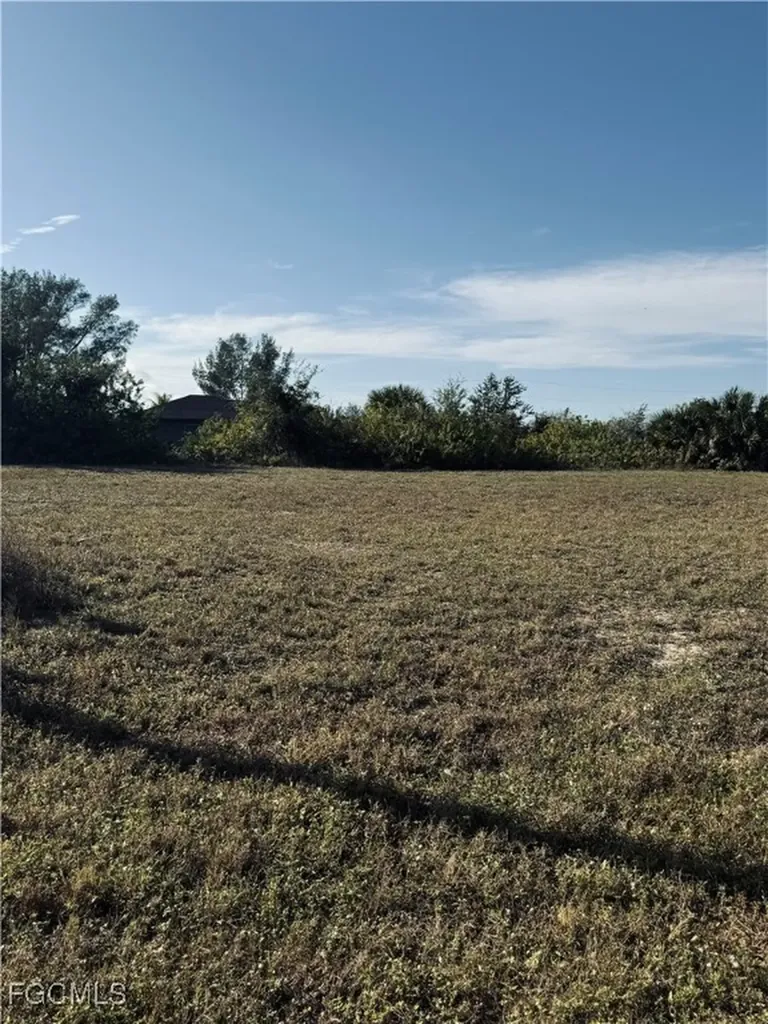 1148 NW 20th Avenue Cape Coral FL 33993