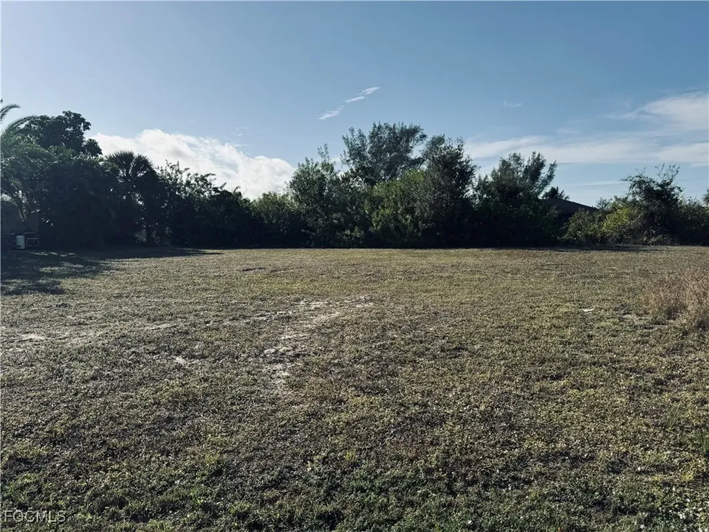 1148 NW 20th Avenue Cape Coral FL 33993