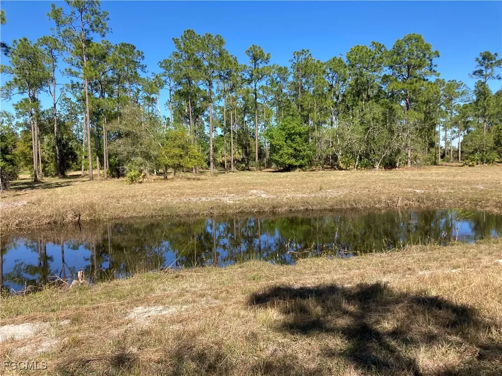 Xxx Honeybee Drive Naples FL 34120