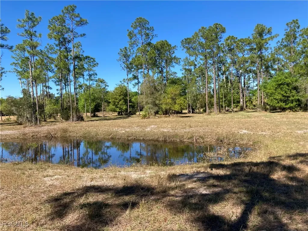 Xxx Honeybee Drive Naples FL 34120