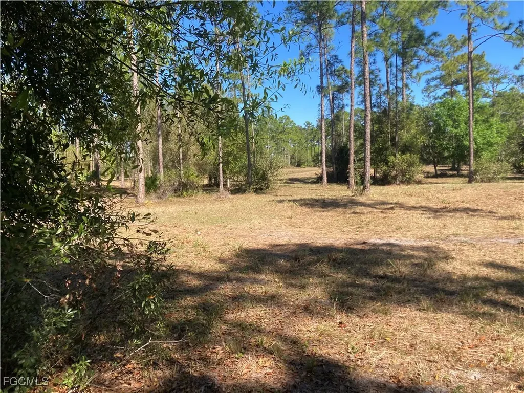 Xxx Honeybee Drive Naples FL 34120
