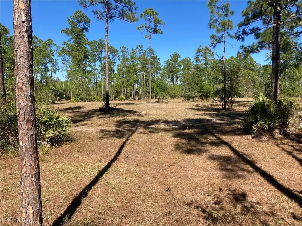 Xxx Honeybee Drive Naples FL 34120