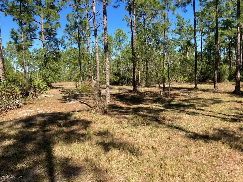 Xxx Honeybee Drive Naples FL 34120