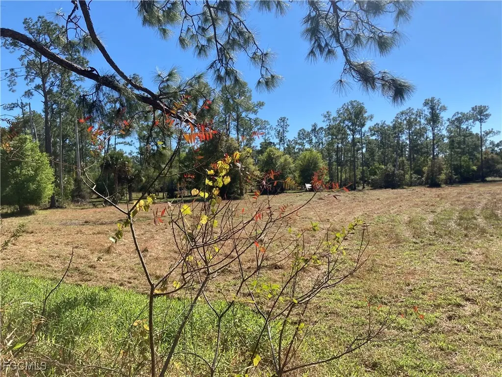 Xxx Honeybee Drive Naples FL 34120