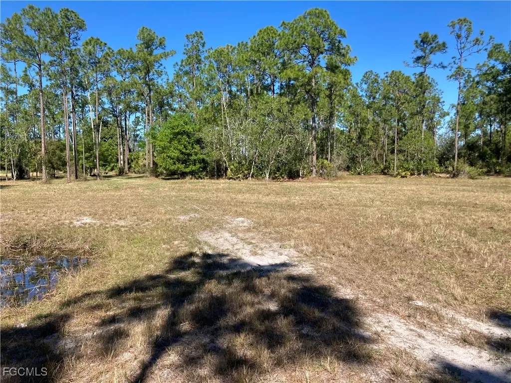 Xxx Honeybee Drive Naples FL 34120