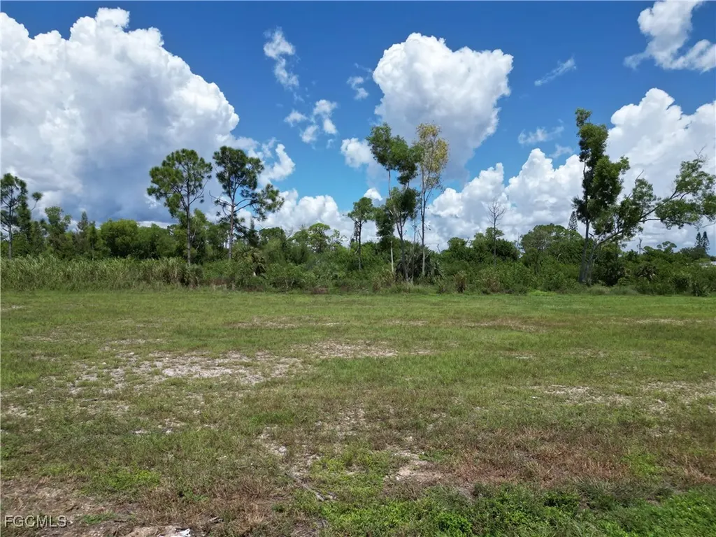 2355 NE 43rd Lane Cape Coral FL 33909