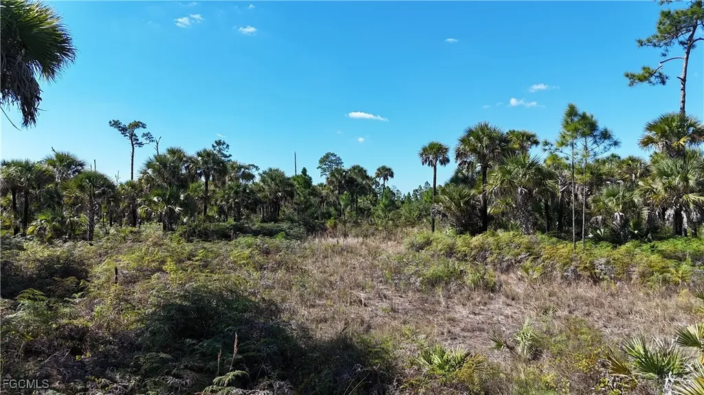 Naples FL 34117