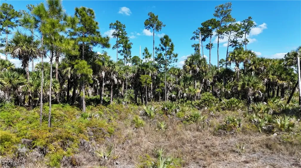 Naples FL 34117