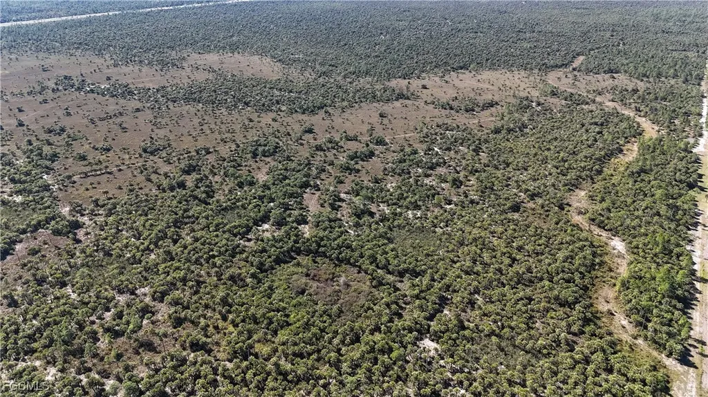 Naples FL 34117