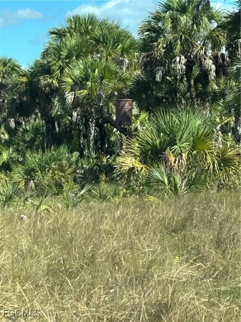 Naples FL 34117