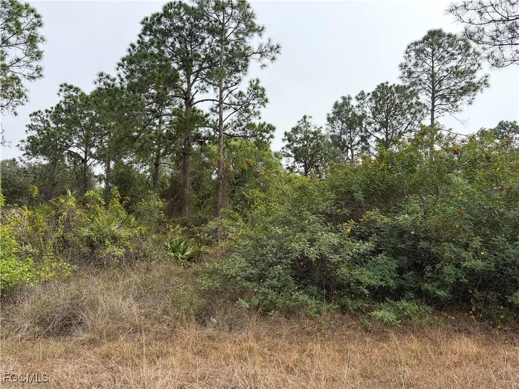 1310 Irving Avenue Lehigh Acres FL 33972