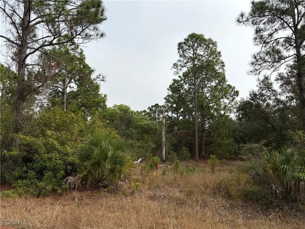 1310 Irving Avenue Lehigh Acres FL 33972