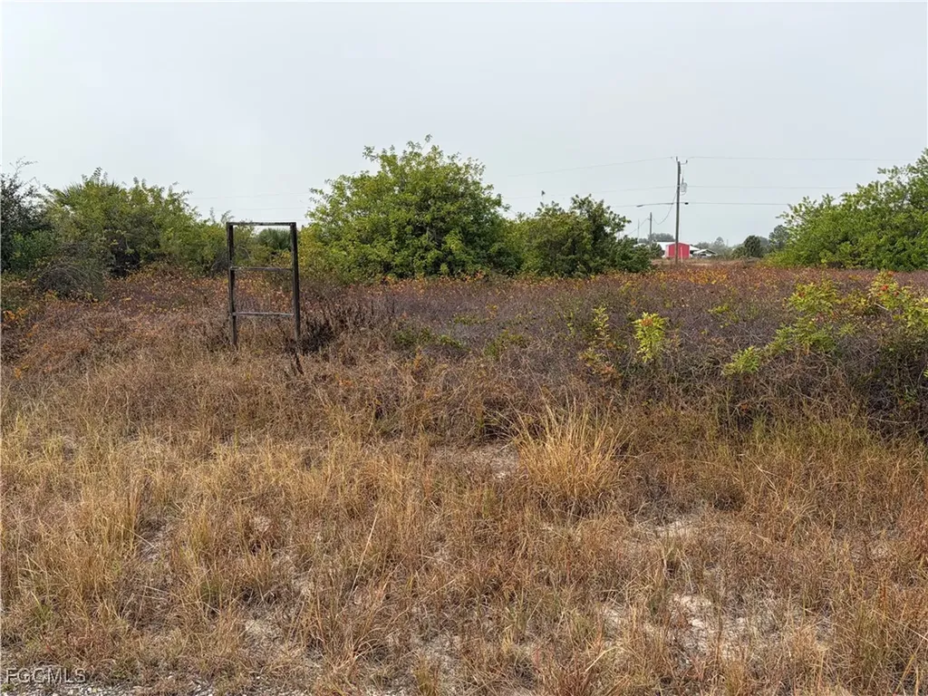 1509 Wells Avenue Lehigh Acres FL 33972