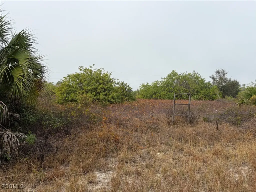 1509 Wells Avenue Lehigh Acres FL 33972