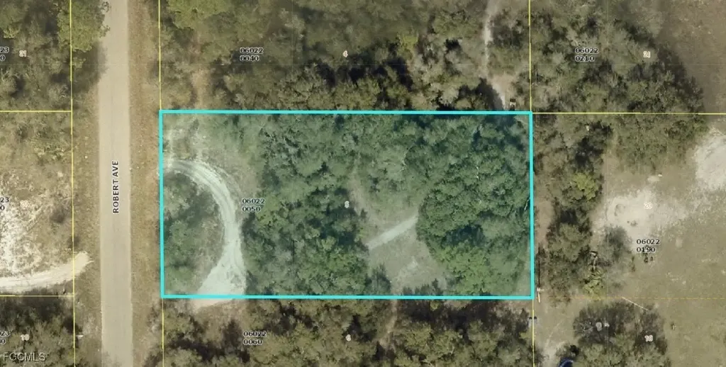 1714 Robert Avenue Lehigh Acres FL 33972