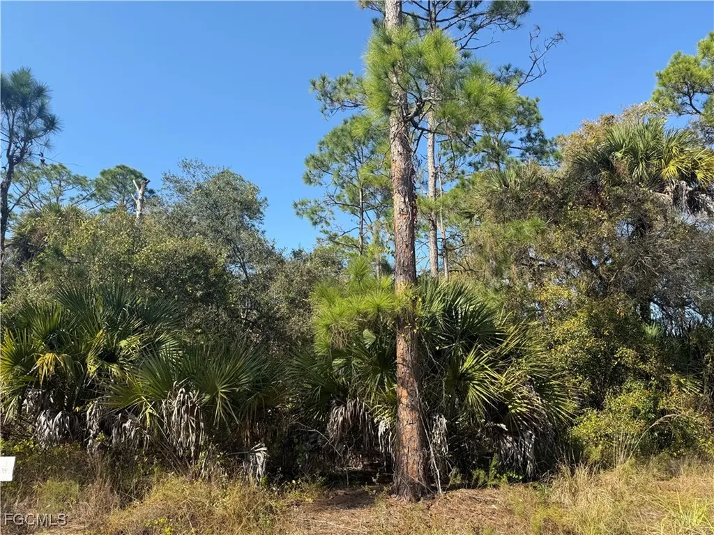 740 S Lindero Street Clewiston FL 33440