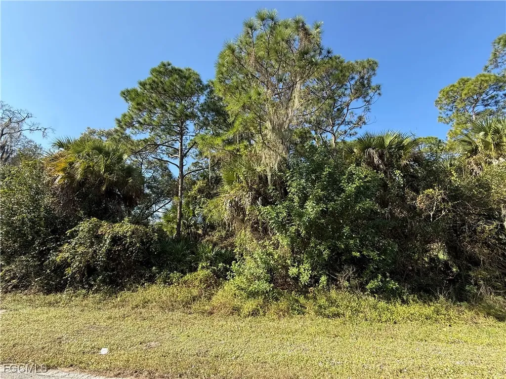 810 S Mayoral Street Clewiston FL 33440