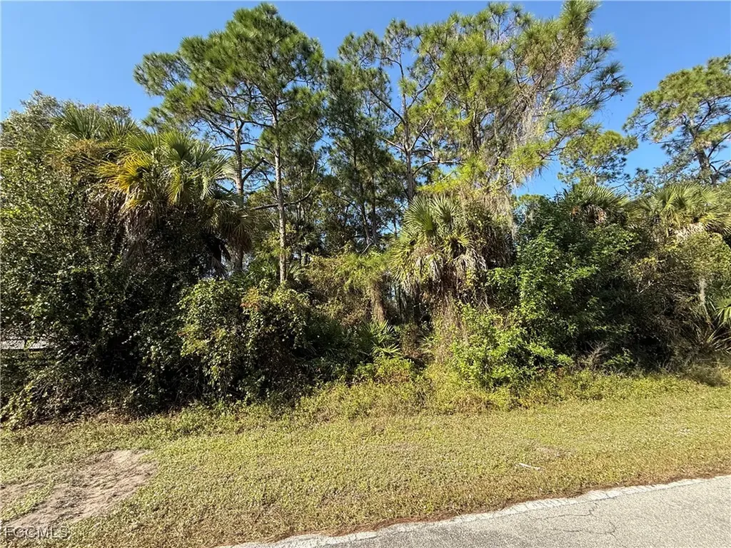 810 S Mayoral Street Clewiston FL 33440