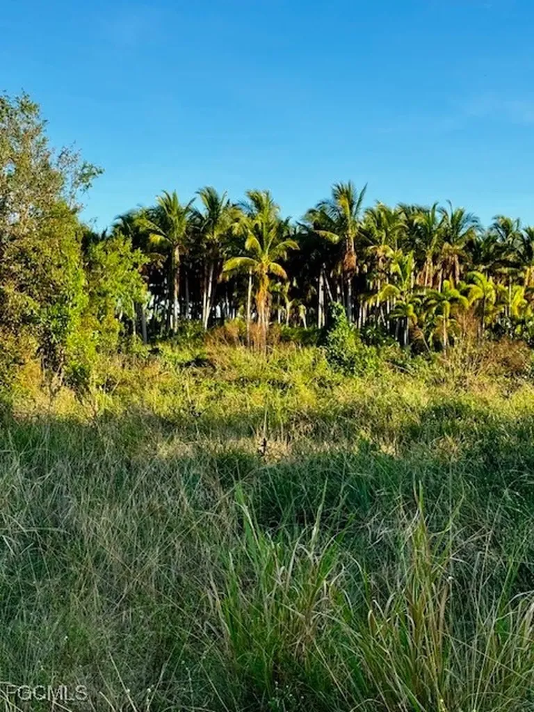 7465, 7448, 7421 Max Drive Bokeelia FL 33922