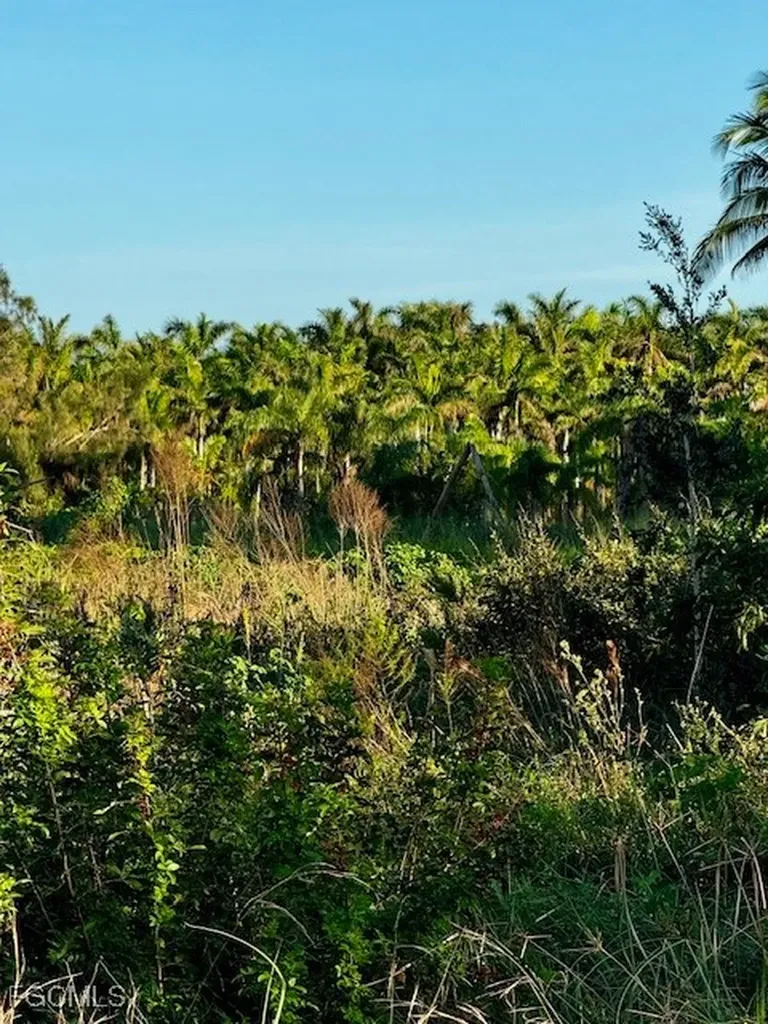 7465, 7448, 7421 Max Drive Bokeelia FL 33922