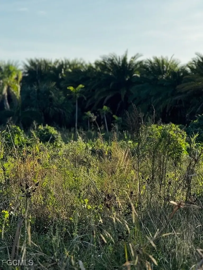 7465, 7448, 7421 Max Drive Bokeelia FL 33922