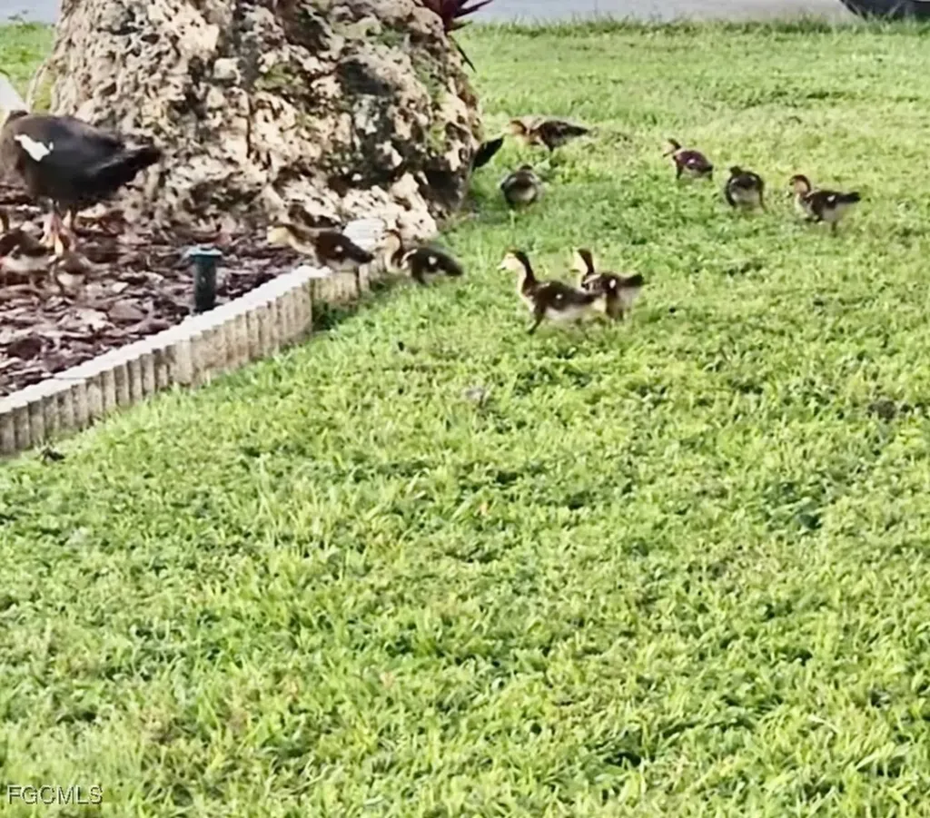 613 Pine Grove Court North Fort Myers FL 33917