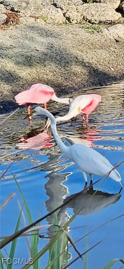 613 Pine Grove Court North Fort Myers FL 33917