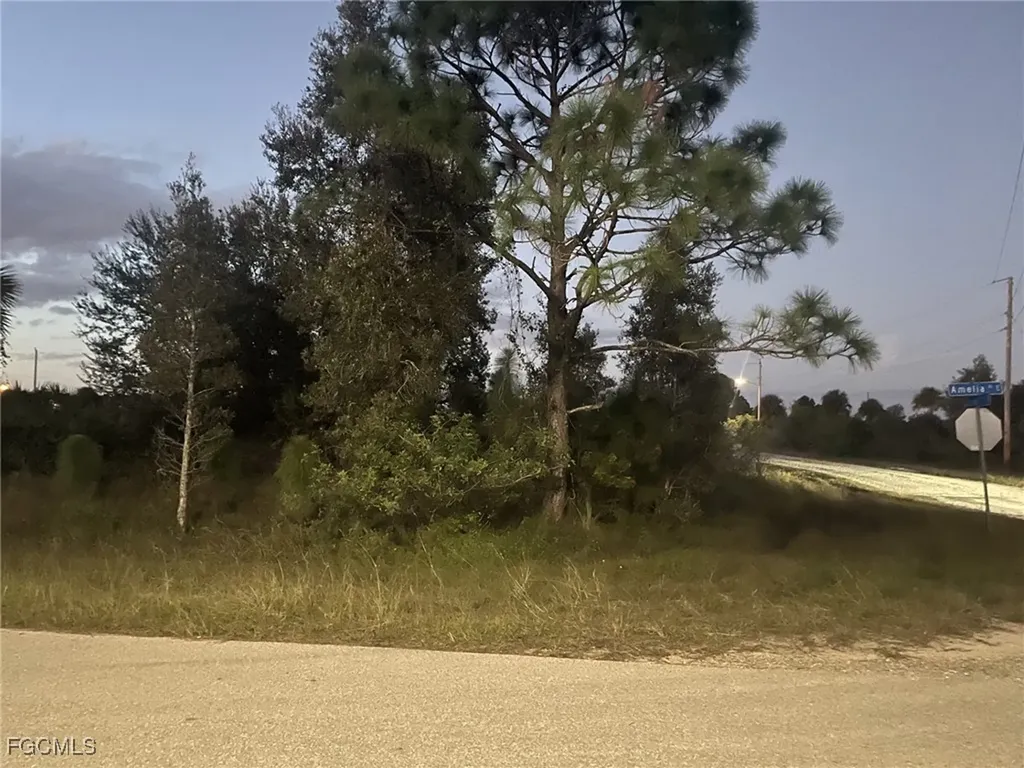755 Amelia (corner Lot) Street E Lehigh Acres FL 33974