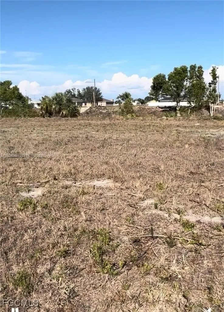 1931 NW 9th Place Cape Coral FL 33993